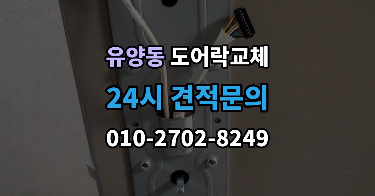 유양동 도어락 교체 출장 안내 - 도어락 교체 비용