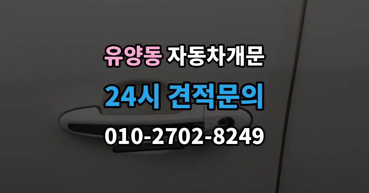 유양동 자동차 문 잠김 긴급출동 서비스와 비교했을 때 차이