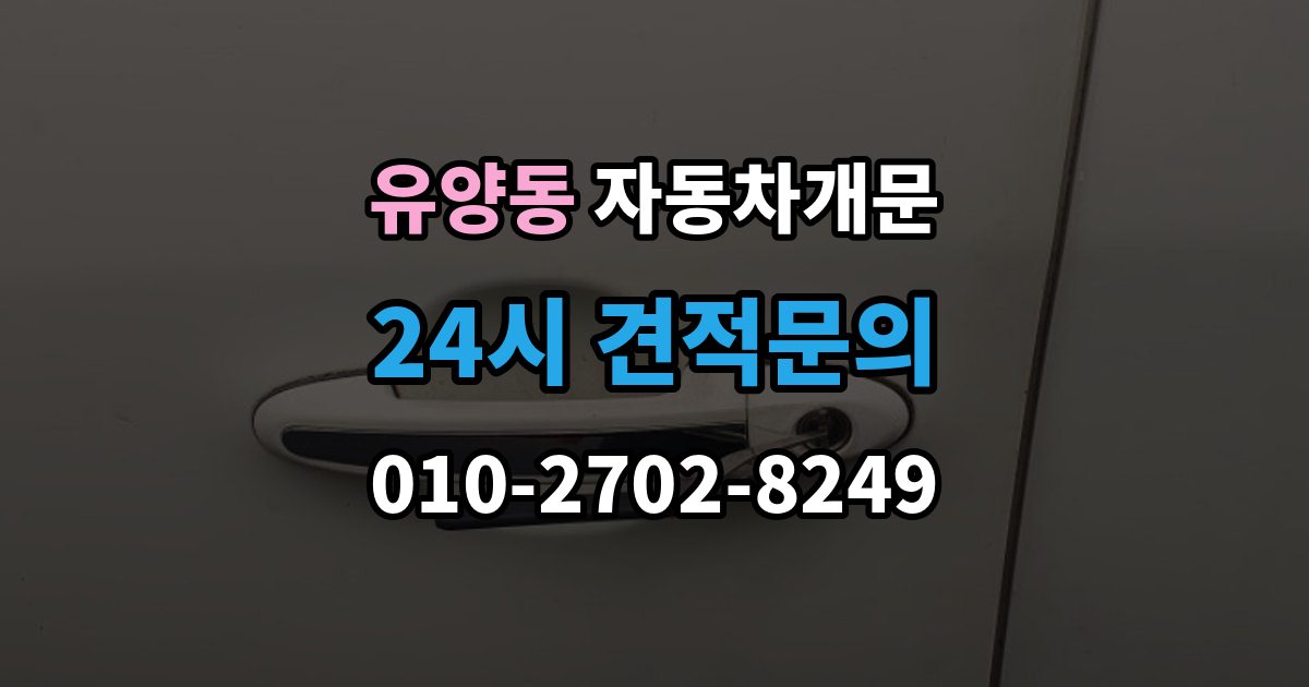 유양동 차 문 잠겼을 때 출장 안내 - 문은 열려도 시동이 안 걸릴 때 구분법