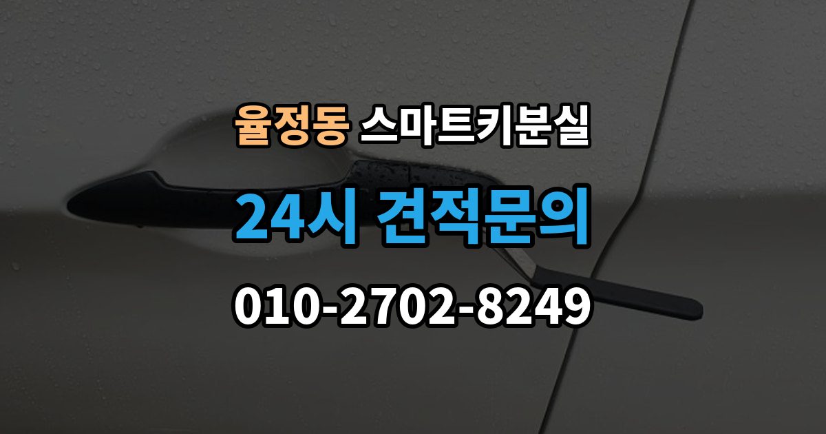 율정동 스마트키 분실 버튼 반응이 둔할 때 점검할 항목