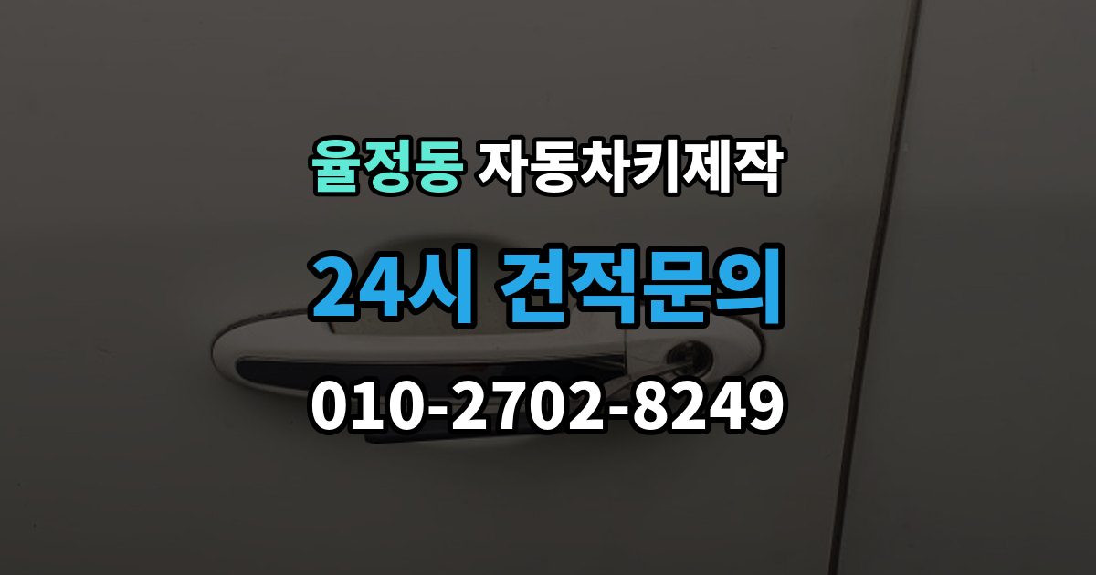 율정동 자동차키 제작 키 코드 조회가 막혔을 때 대안