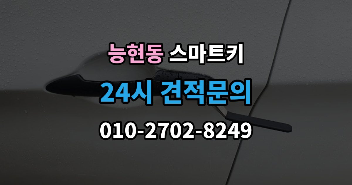 능현동 스마트키 인식 오류