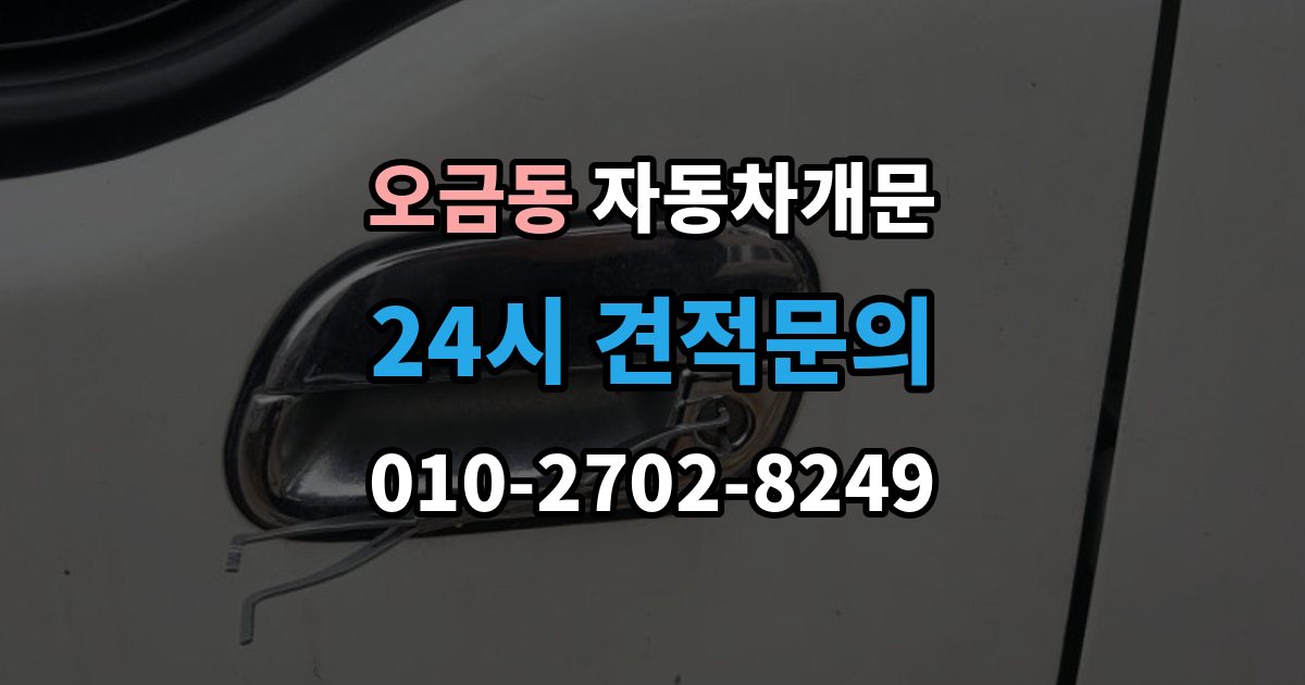 여주시 오금동 자동차 문 잠김 장기 주차 중 발생했을 때 확인할 것