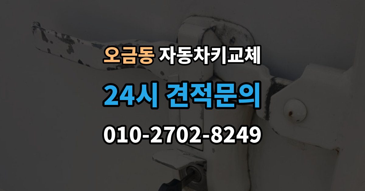 여주시 오금동 자동차키 교체 시동이 안 되고 잠금만 풀릴 때 점검
