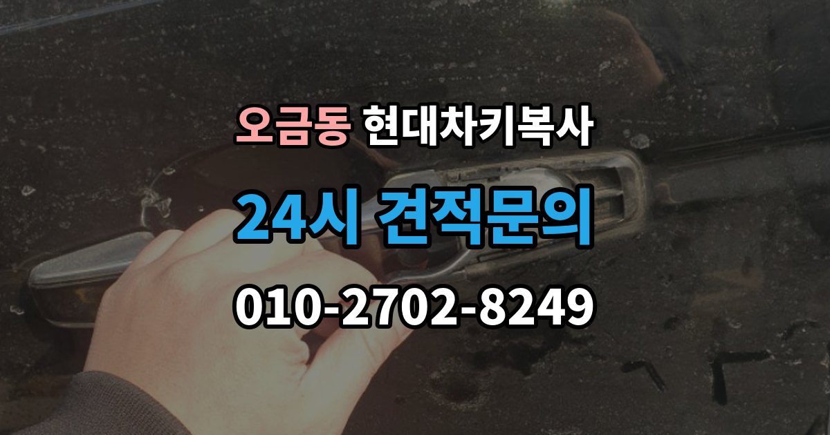여주시 오금동 현대 차키 복사 차종별 키 등록과 복제 차이