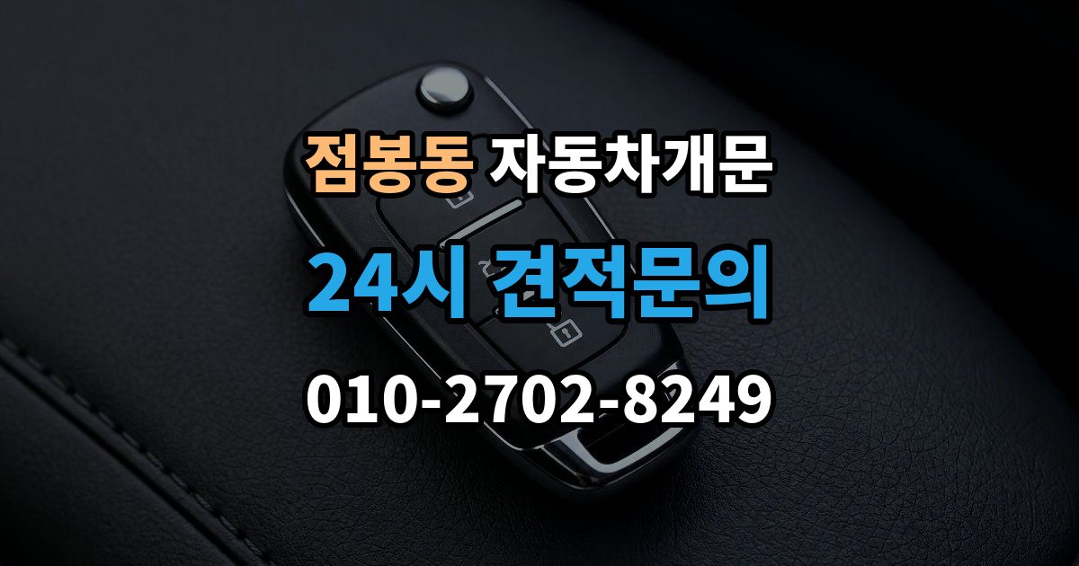 점봉동 차 문 잠겼을 때 보험사 긴급출동과 전문업체 비교