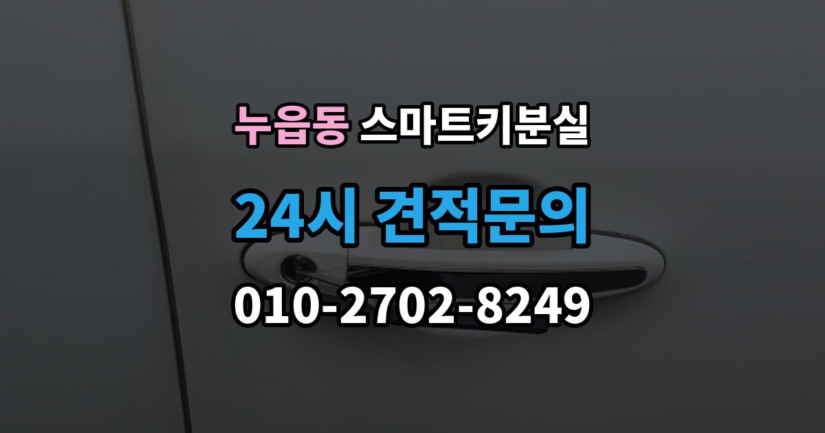 누읍동 스마트키 분실 예비키 없이 남았을 때 이동 수단부터 생각하기