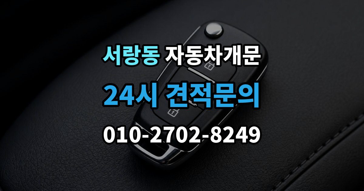 서랑동 자동차 문 잠김 리모컨 오작동과 실제 잠김 구분하기