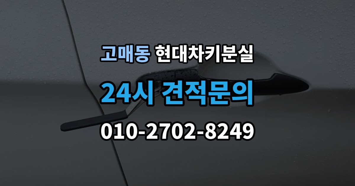 고매동 현대 차키 분실 스마트키 앱 연동 상태 확인이 필요한 경우