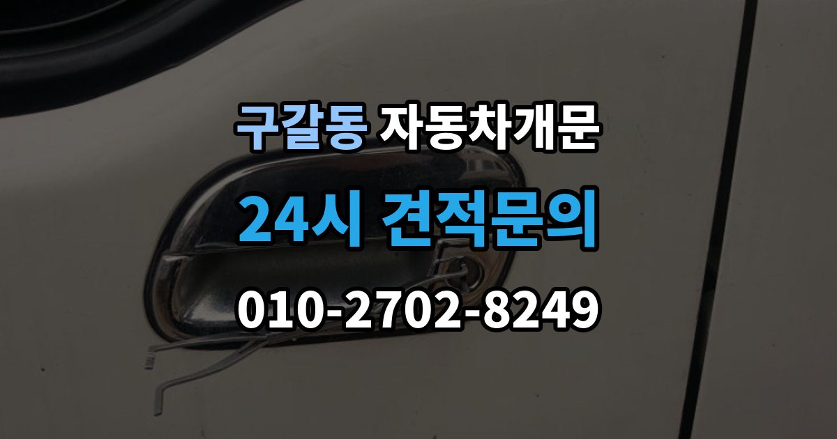 구갈동 차 문 잠겼을 때 출장 안내 - 아이나 반려동물이 안에 있을 때 우선순위