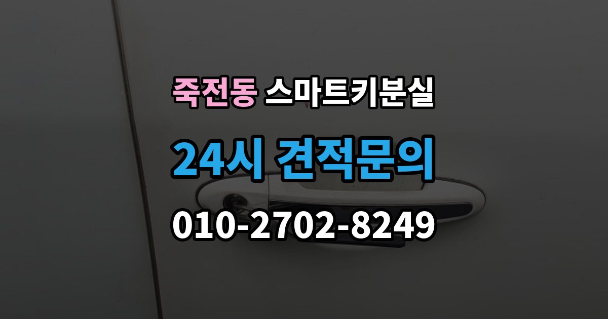 용인시 수지구 죽전동 스마트키 분실 예비키 없이 남았을 때 이동 수단부터 생각하기