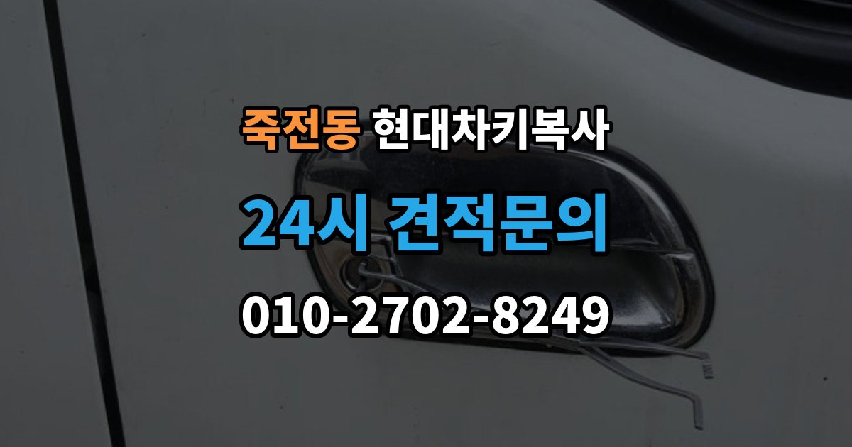 용인시 수지구 죽전동 현대 차키 복사 출장 안내 - 전자키 호환성부터 살펴야 하는 차종 차이