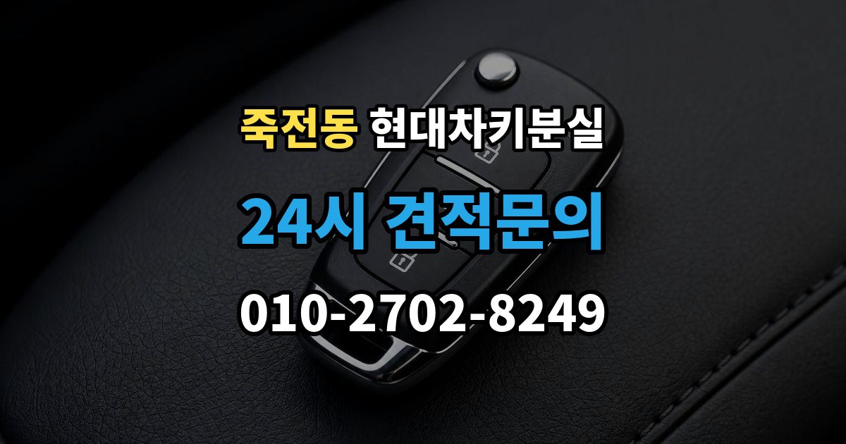용인시 수지구 죽전동 현대 차키 분실 출장 안내 - 앱에 차량이 안 보일 때 살펴볼 설정