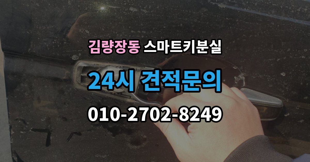 김량장동 스마트키 분실 예비키 없이 외출했다면 확인할 이동 경로