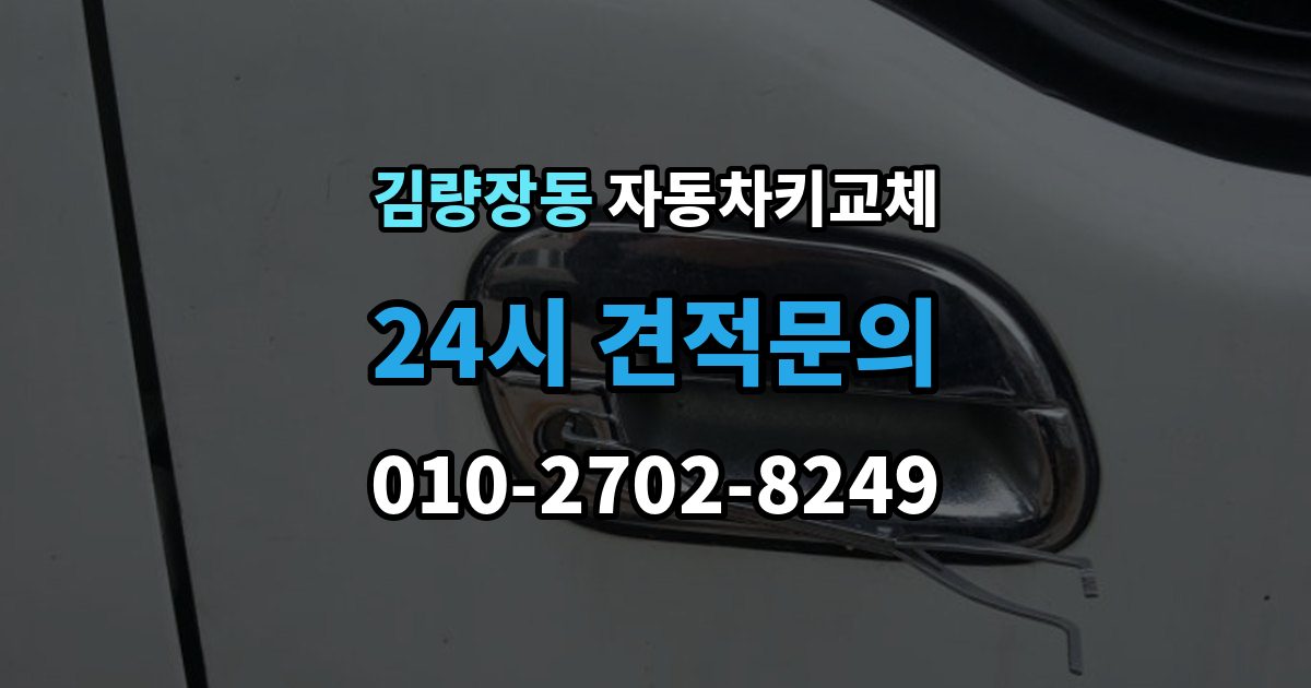 김량장동 자동차키 교체 임시 운행 전 점검할 것