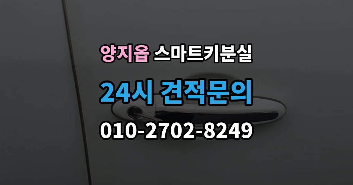 양지읍 스마트키 분실 출장 안내 - 복제와 재등록은 무엇이 다른가