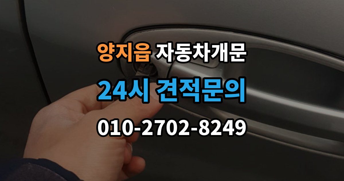 양지읍 차 문 잠겼을 때 출장 안내 - 아이나 반려동물이 안에 있을 때 우선순위
