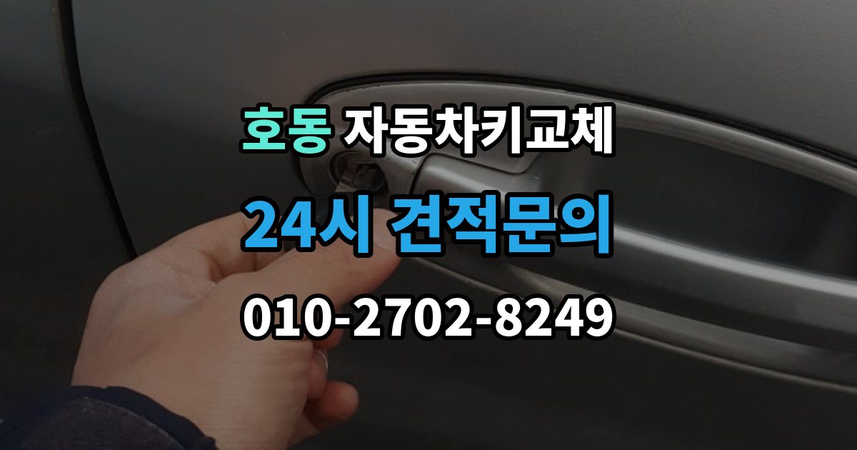용인시 처인구 호동 자동차키 교체 문을 여는 방식별 장단점