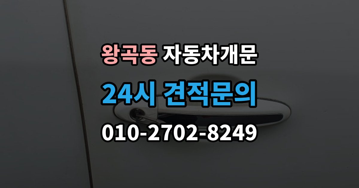 왕곡동 차 문 잠겼을 때 보험사 긴급출동과 전문업체 비교