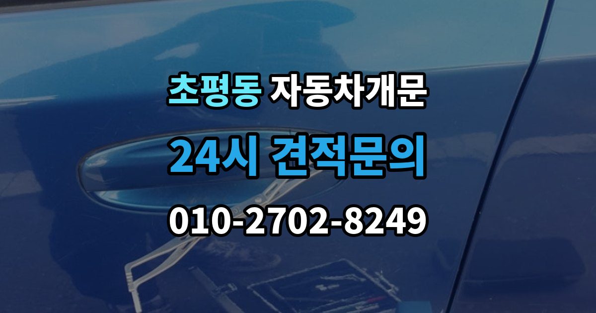 초평동 자동차 문 잠김 리모컨 오작동과 실제 잠김 구분하기