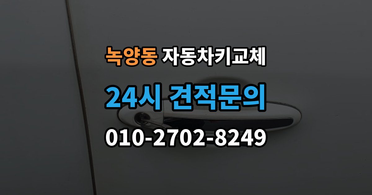 녹양동 자동차키 교체 출장 안내 - 도어락 손상 여부 확인하기