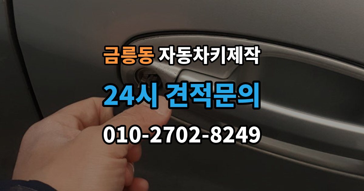 파주시 금릉동 자동차키 제작 키 코드가 막혔을 때 대안 찾는 법