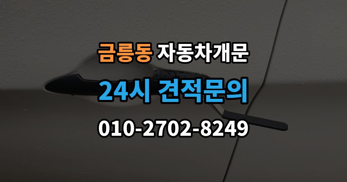 파주시 금릉동 차 문 잠겼을 때 문은 열려도 시동이 안 걸릴 때 구분법