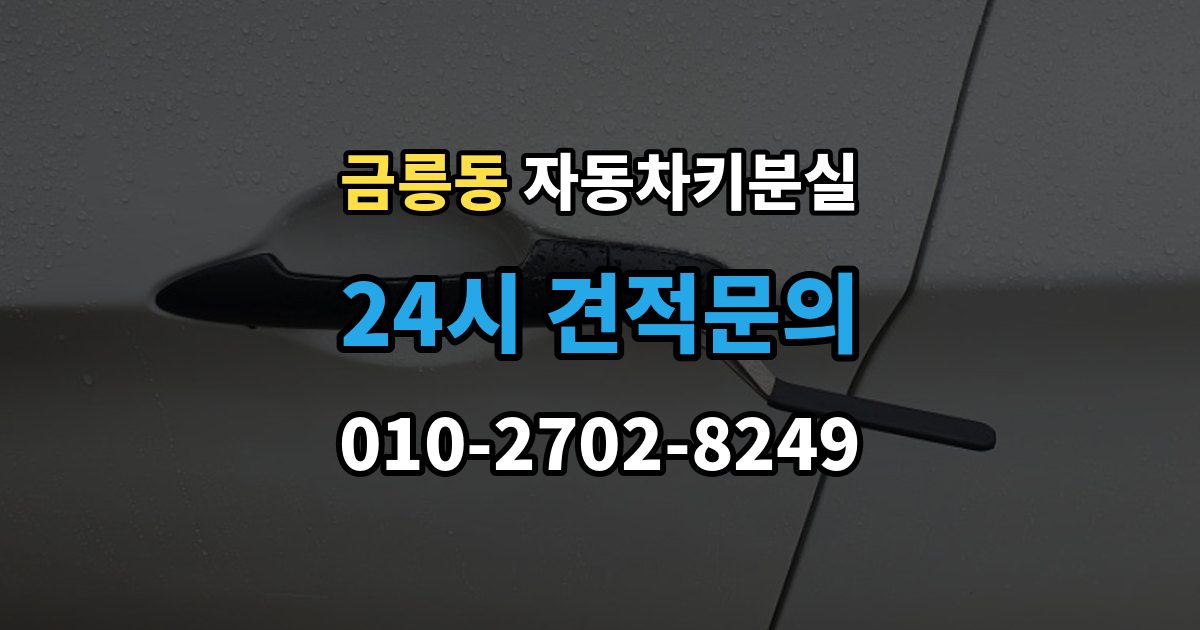 파주시 금릉동 차 키 잃어버렸을 때 지갑과 같이 잃어버렸을 때 처리 순서