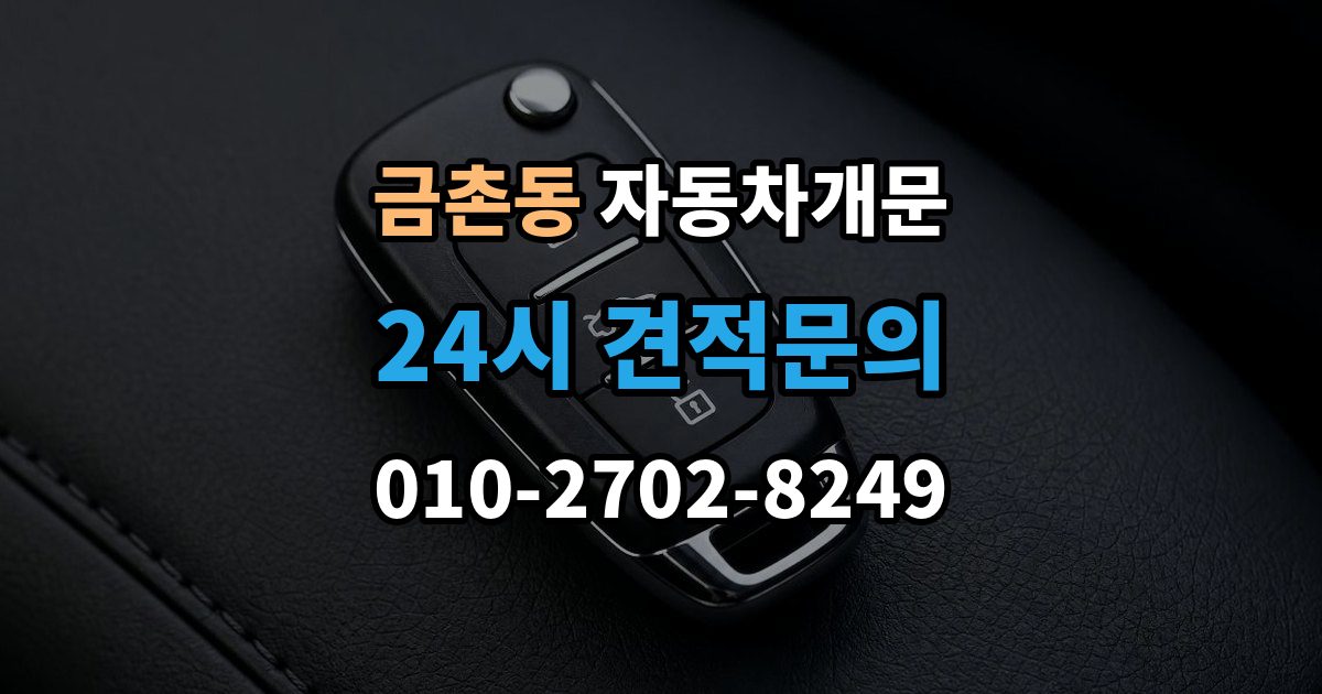 금촌동 자동차 문 잠김 리모컨 오작동과 실제 잠김 구분하기