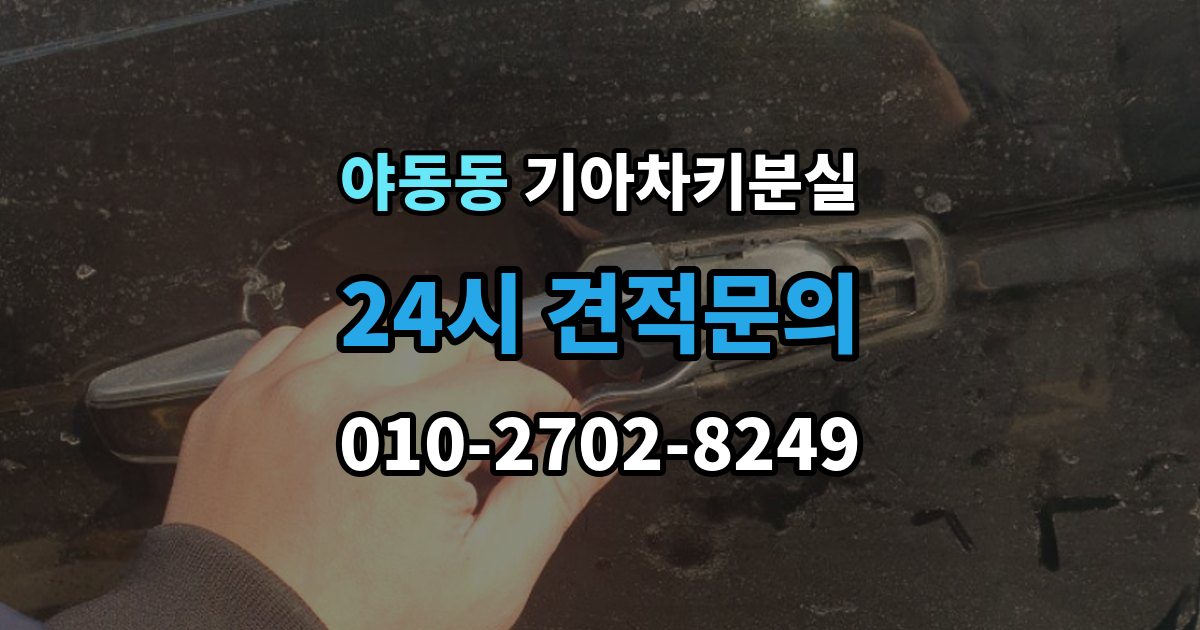 야동동 기아 차키 분실 푸시 시동 차량에서 자주 생기는 혼동