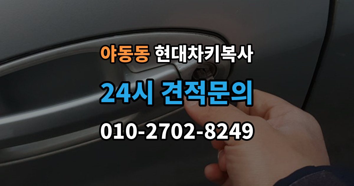 야동동 현대 차키 복사 열쇠 모양이 같아도 작동이 다른 사례들