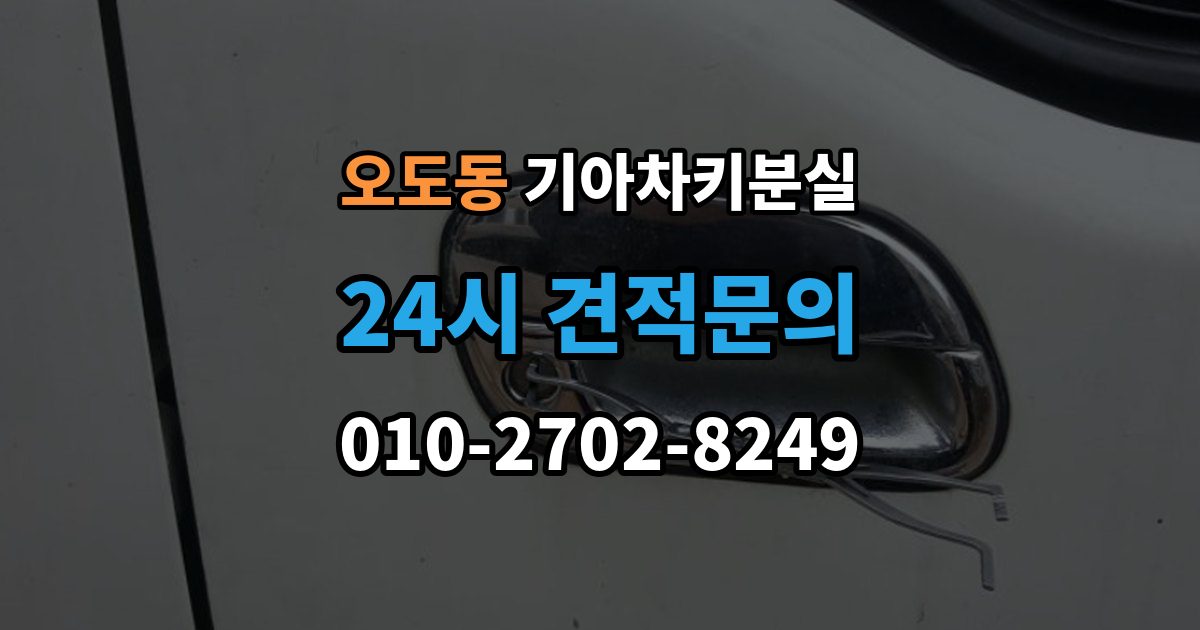 오도동 기아 차키 분실 앱 로그아웃 후 다시 연동해야 하는 상황