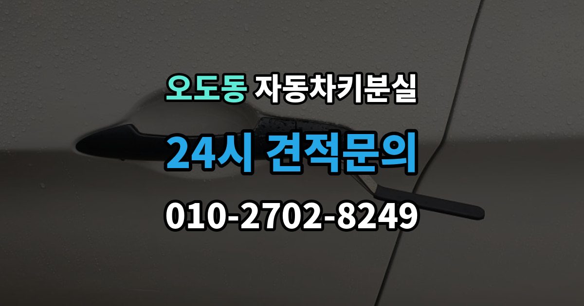 오도동 차 키 잃어버렸을 때 야간에 잃어버렸을 때 확인할 점