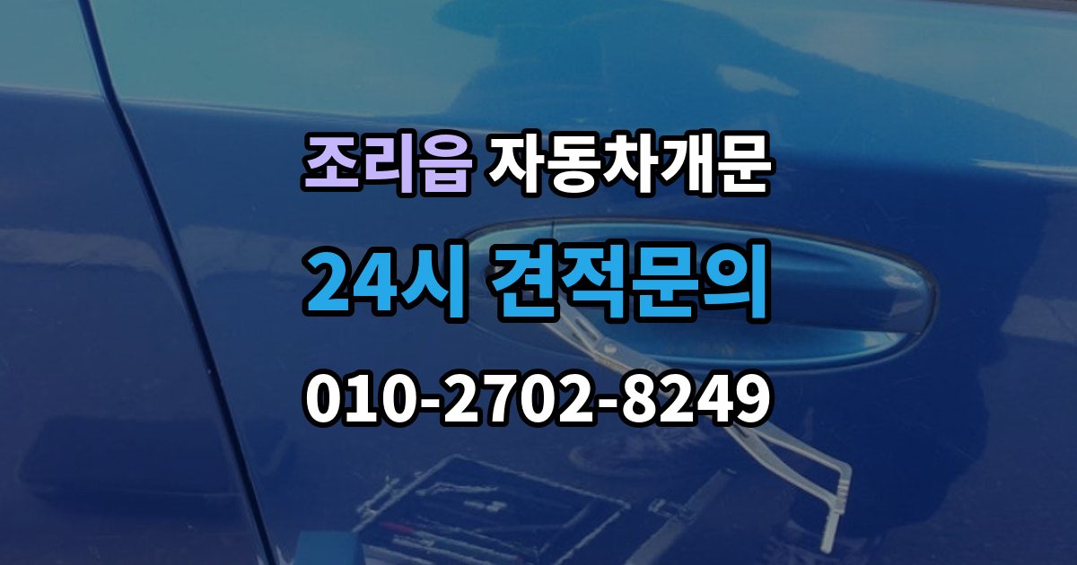 조리읍 차 문 잠겼을 때 출장 안내 - 보험사 긴급출동과 전문업체 비교