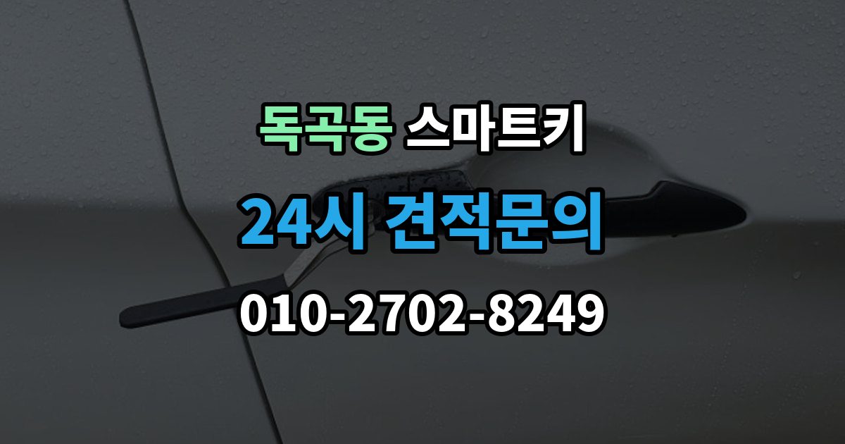 독곡동 스마트키 출장 안내 - 분실 방지에 도움이 되는 일상 습관