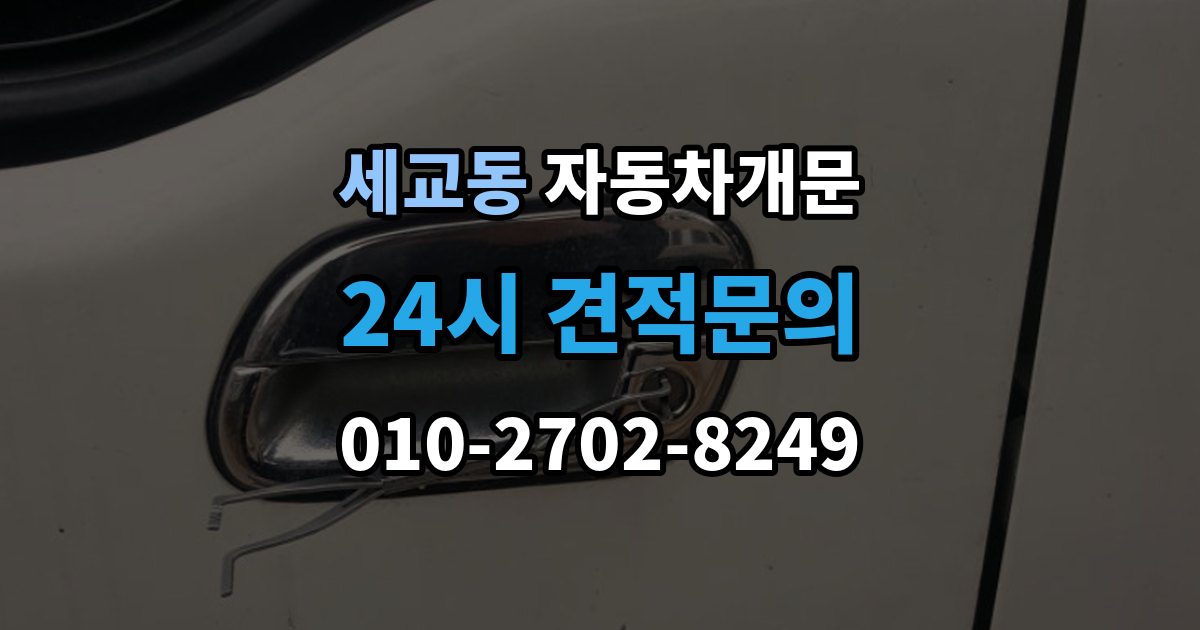 평택시 세교동 자동차 문 잠김 출장 안내 - 긴급출동 서비스와 비교했을 때 차이