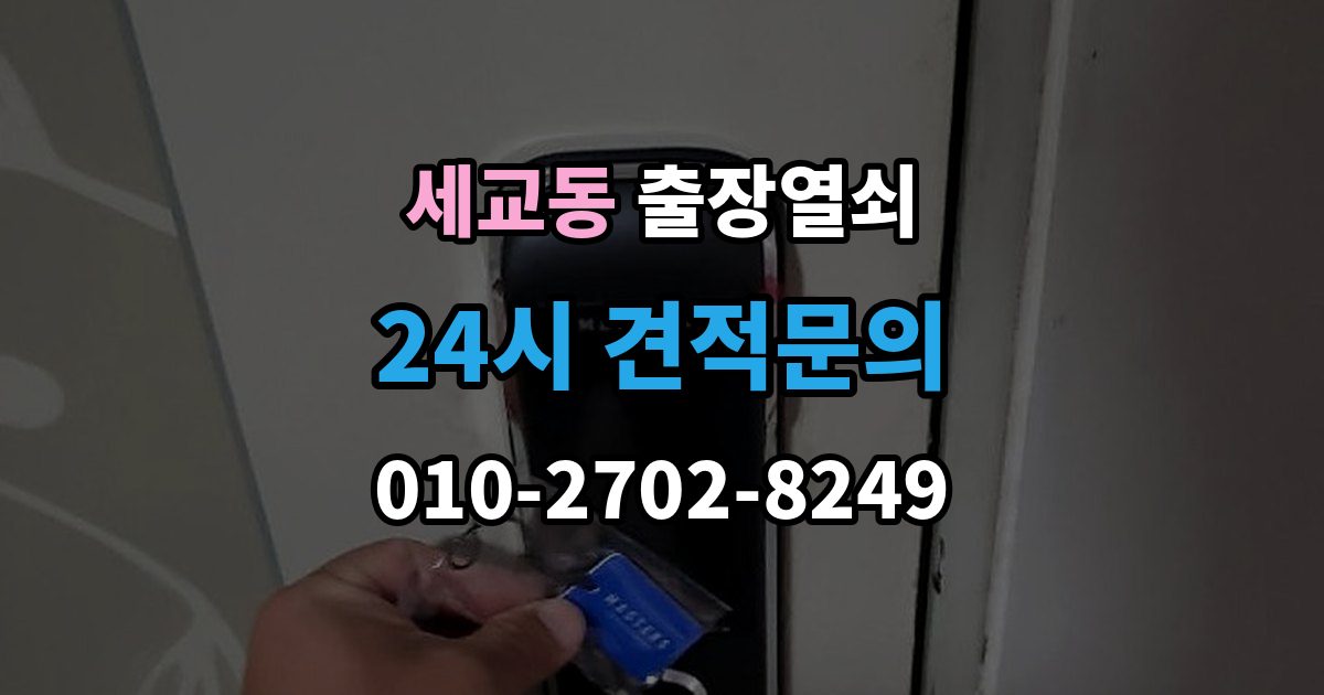 평택시 세교동 출장 열쇠 키를 잃었을 때 선택할 수 있는 방법