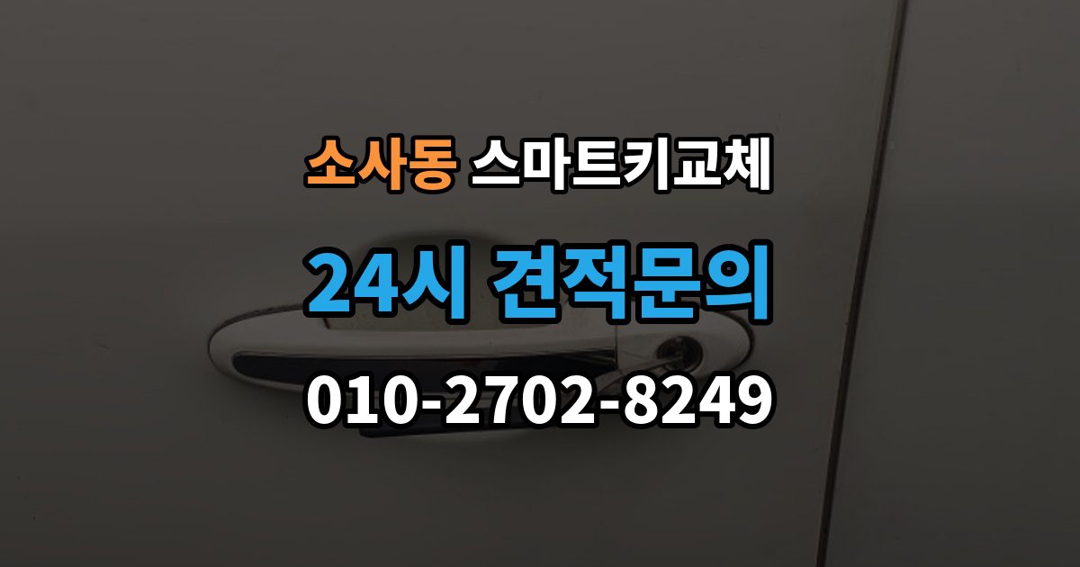 평택시 소사동 스마트키 교체 문이 잠겼을 때 안전하게 대처하는 법