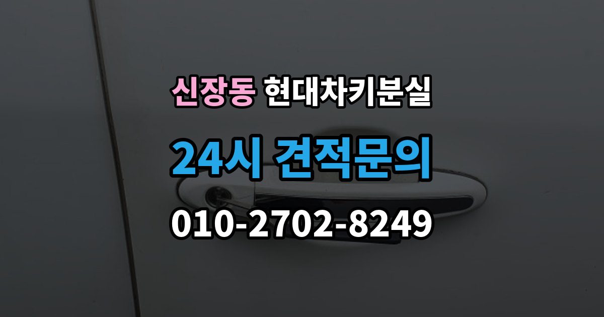평택시 신장동 현대 차키 분실 출장 안내 - 운행 중 경고 메시지가 뜨는 원인 정리