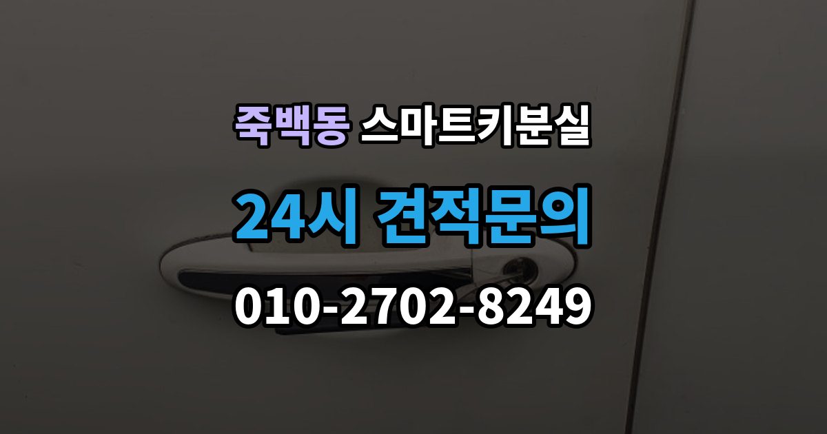 죽백동 스마트키 분실 출장 안내 - 차량 운행이 제한되는 상황 살펴보기