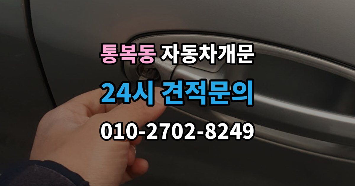 통복동 차 문 잠겼을 때 보험사 긴급출동과 전문업체 비교