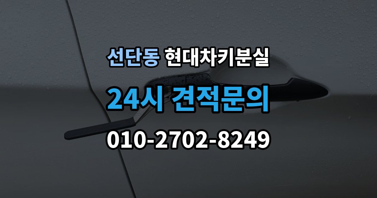 선단동 현대 차키 분실 출장 안내 - 원격 기능만 안 될 때 점검해야 할 부분