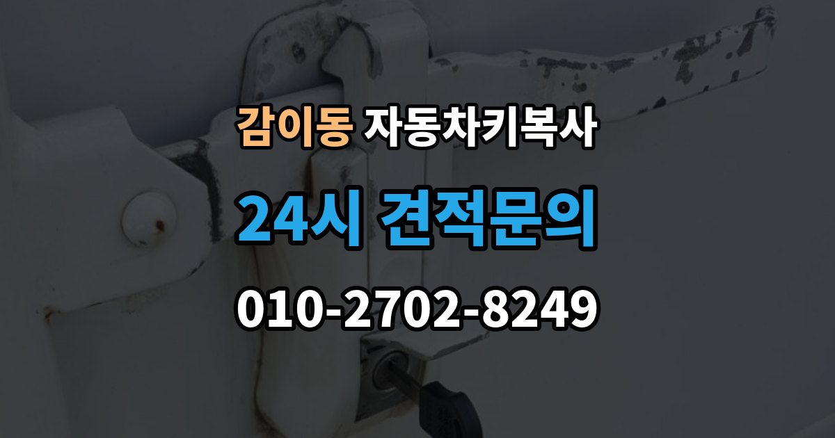 감이동 자동차키 복사 도어키만 필요한 경우 확인할 점