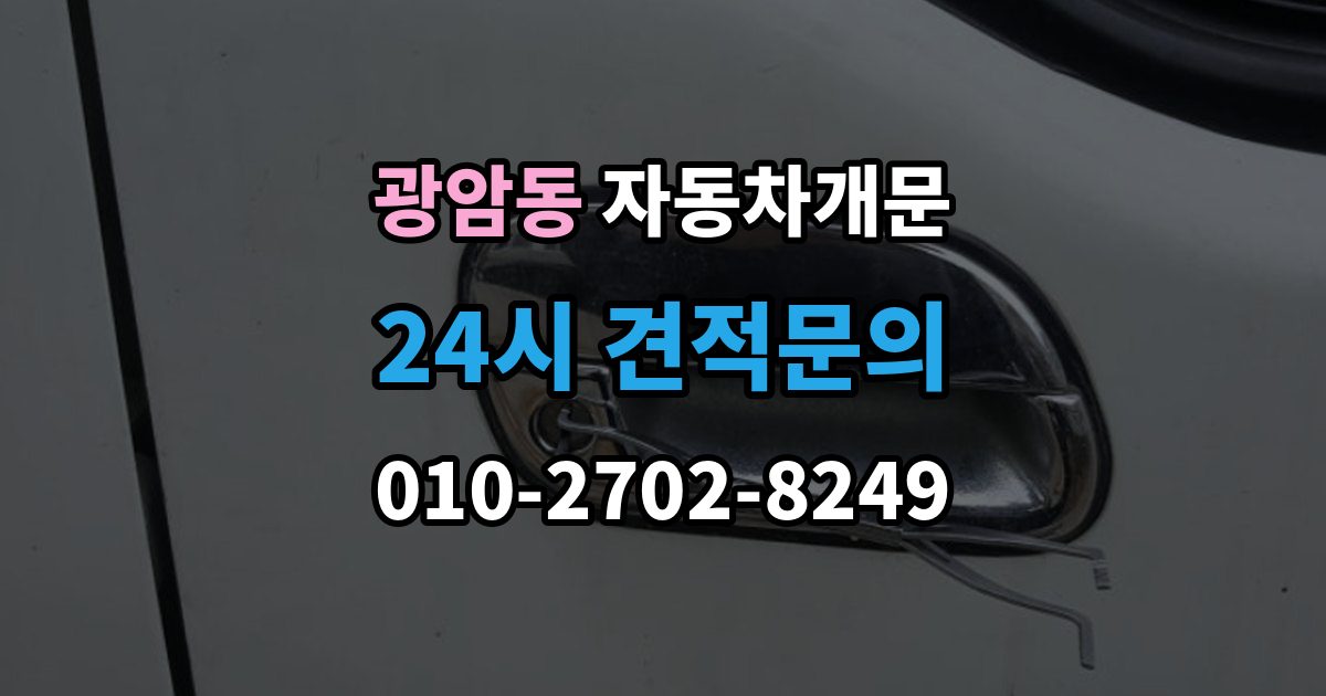 하남시 광암동 차 문 잠겼을 때 보험사 긴급출동과 전문업체 비교