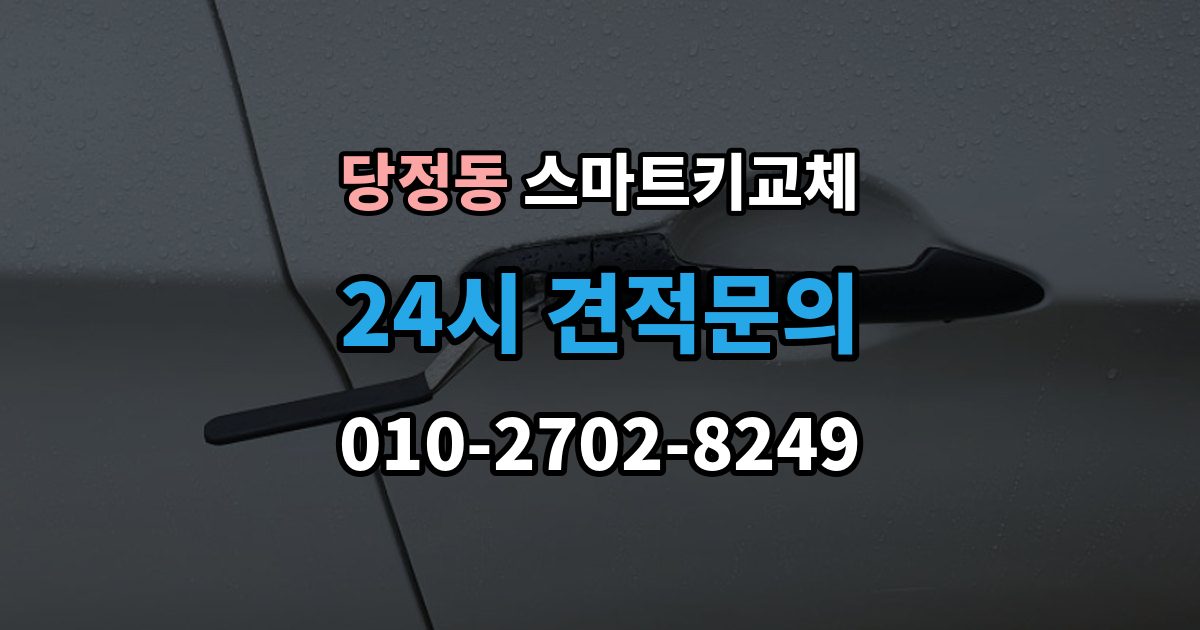 하남시 당정동 스마트키 교체 문이 안 열릴 때 안전하게 대처하는 법