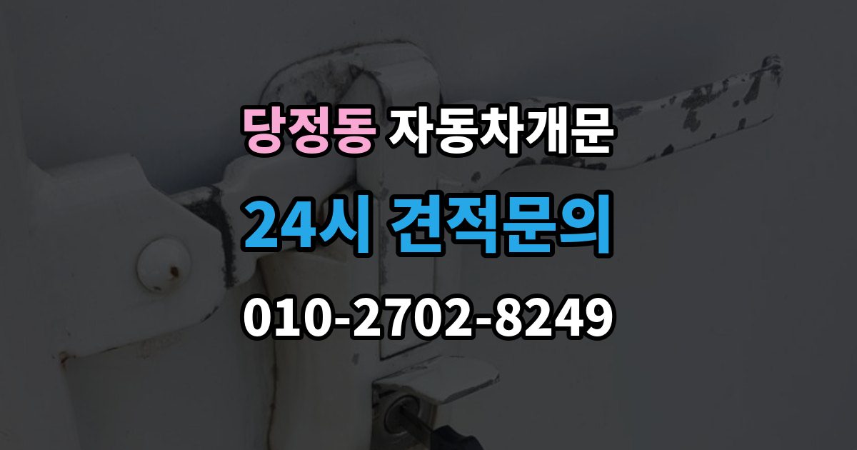 하남시 당정동 자동차 문 잠김 잠금 상태를 스스로 점검하는 방법
