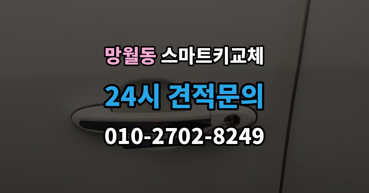 망월동 스마트키 교체 케이스 손상 시 수리 전 확인할 점