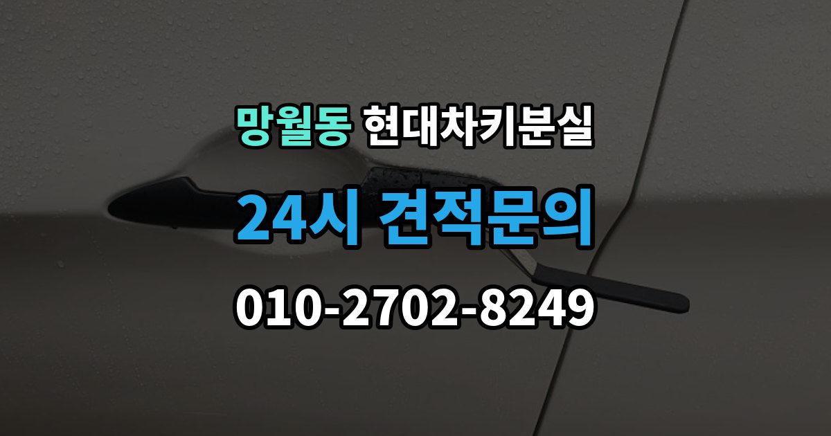 망월동 현대 차키 분실 운행 중 경고가 뜨는 경우와 원인