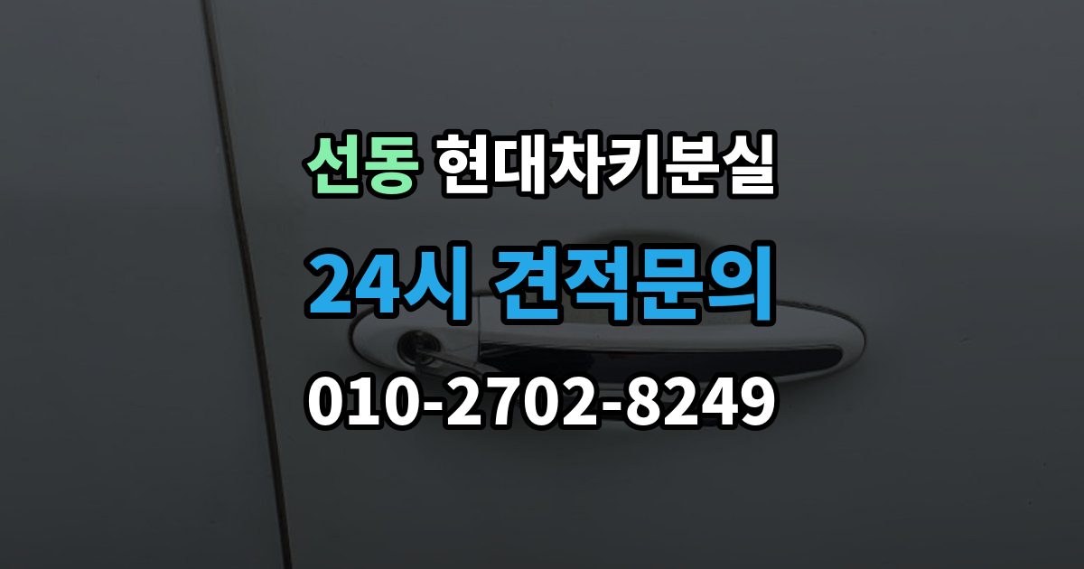 하남시 선동 현대 차키 분실 출장 안내 - 등록 정보가 맞지 않을 때 보완 절차