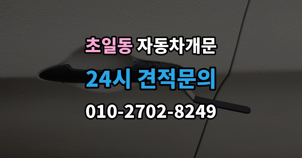 초일동 자동차 문 잠김 잠금 상태를 스스로 점검하는 방법